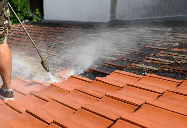 Best Residential Pressure Washing Services  in East Palatka, FL