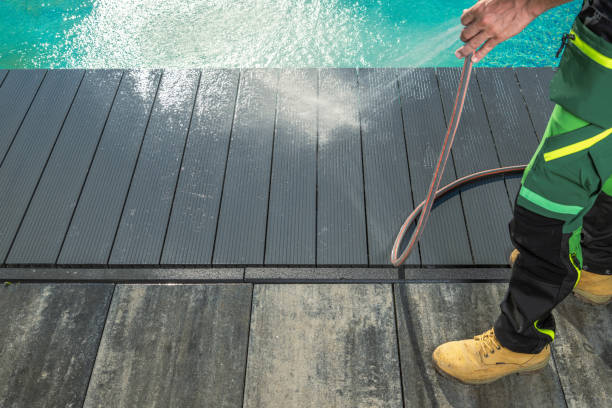 Best Roof Pressure Washing  in East Palatka, FL