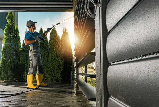 Best Exterior Home Cleaning  in East Palatka, FL