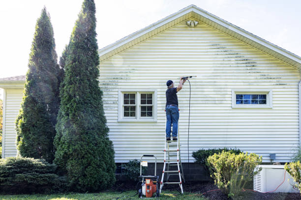 Why Choose Our Certified Pressure Washing Experts for Your Project Needs in East Palatka, FL?