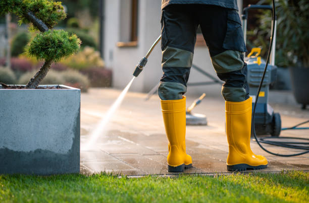 Best Pressure Washing Company Near Me  in East Palatka, FL